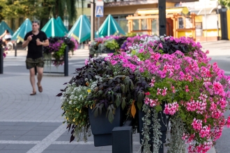 Radomsko w obiektywie - fotospacer